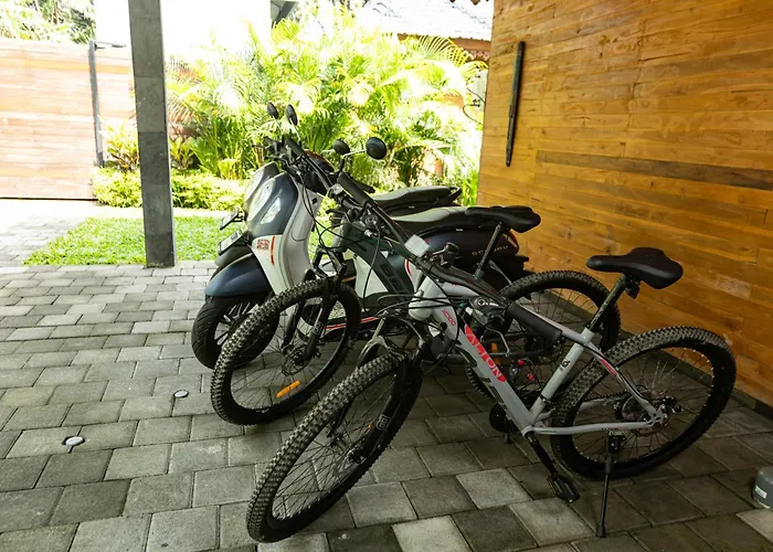 Taman, 2br With Breathtaking Rice Paddy View Villa Ubud